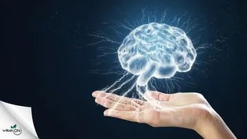 Ce să bei pentru a-ți stimula creierul: 14 rețete și remedii ale bunicii