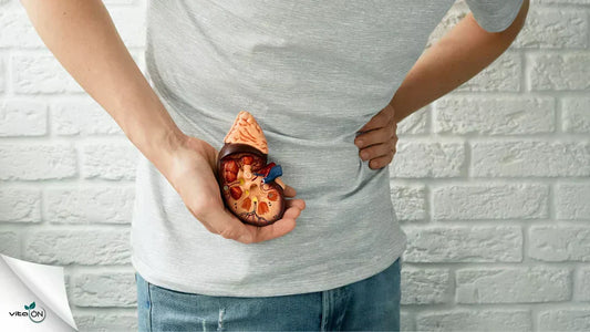 Totul despre insuficiența renală: simptome, diagnostic și tratament