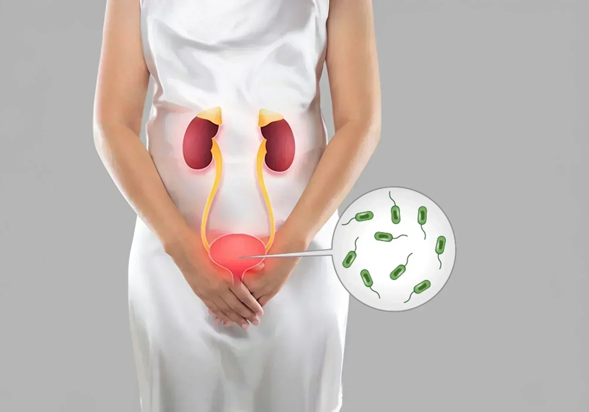 Мечото грозде може да помогне за унищожаването на ешерихия коли