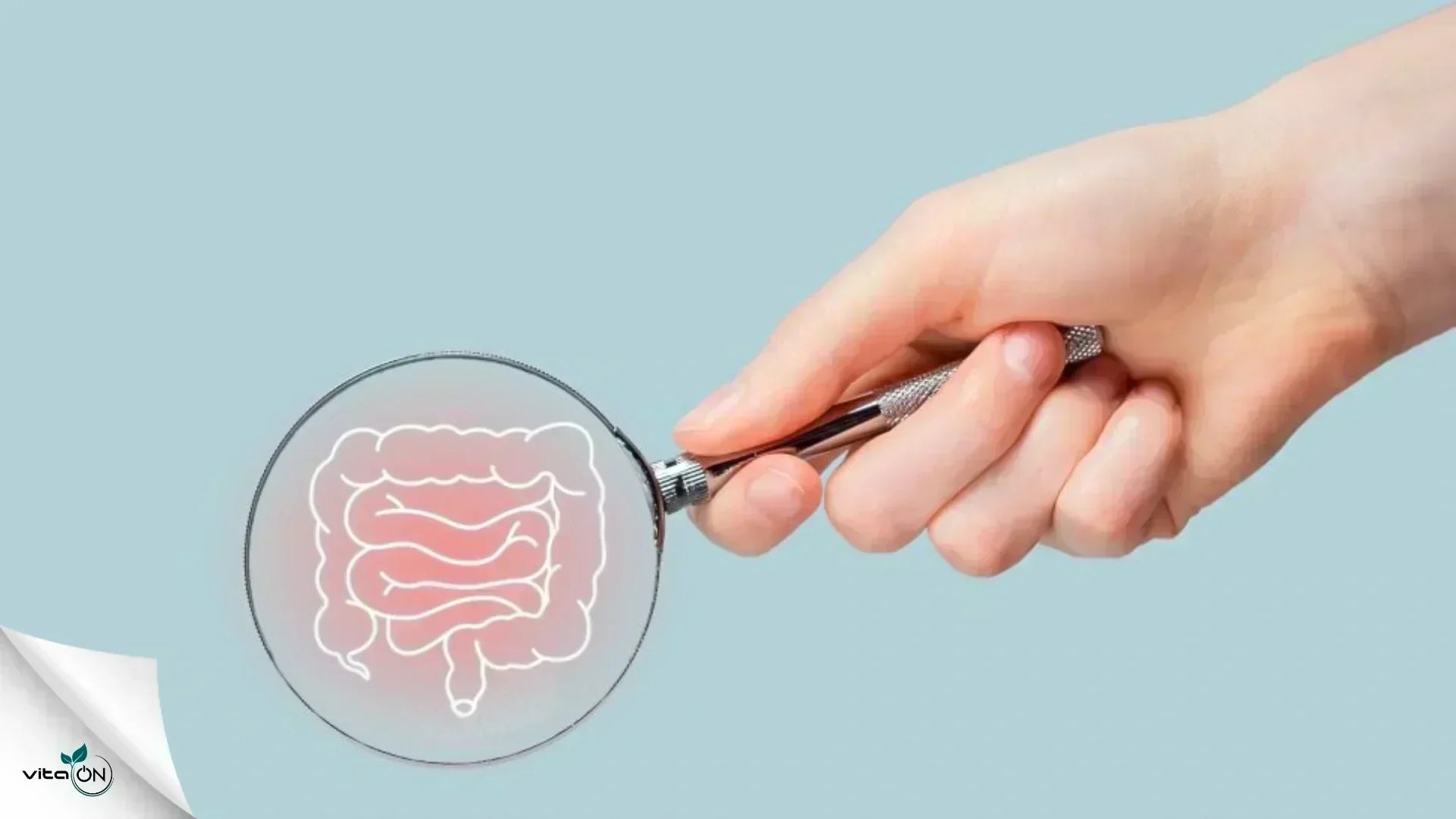 Колит: същност, симптоми и лечение